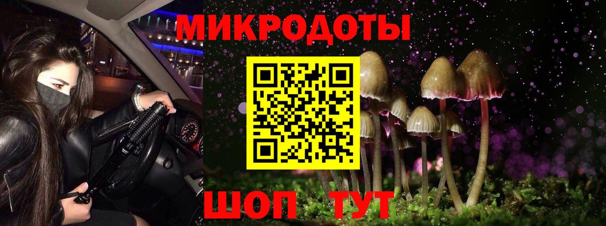 Белово  Псилоцибиновые грибы Cubensis  Вход с VPN 